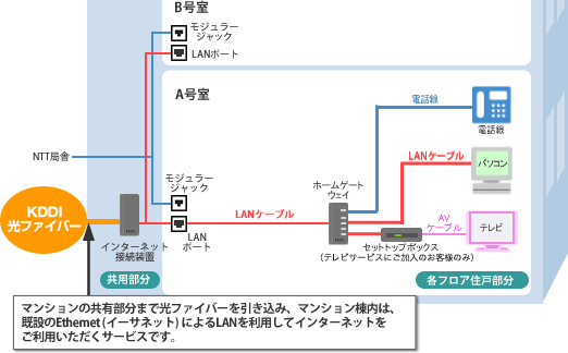 タイプE