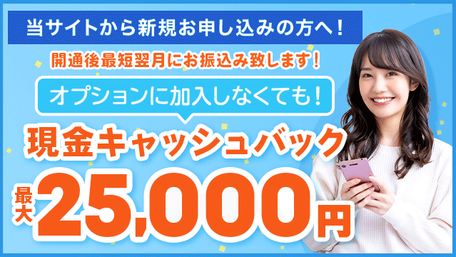 メガ・エッグ:キャッシュバック