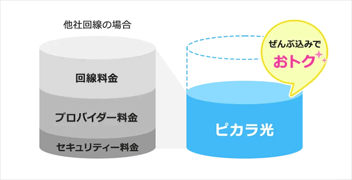 ピカラ光:プロバイダー・セキュリティー料金込み