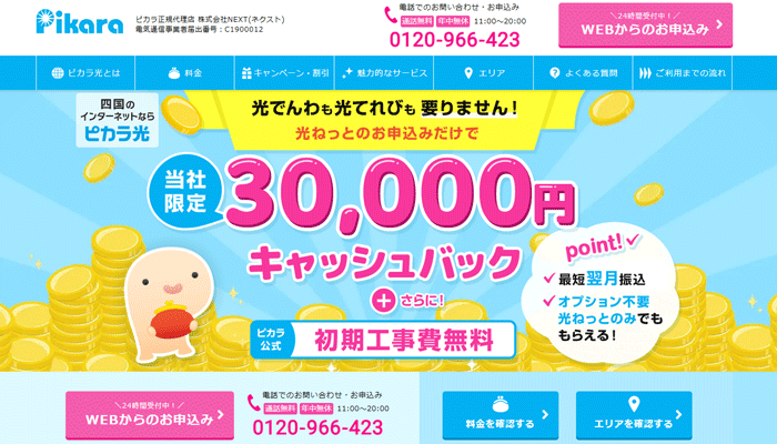 ピカラ光のLP画像