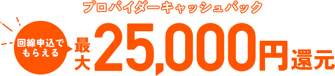 最大25,000円還元