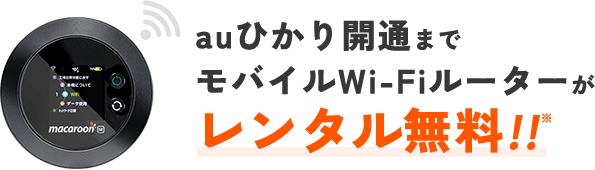 開通前モバイルWi-Fiレンタルサービス